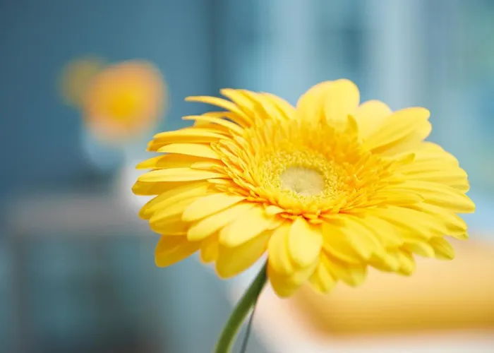 Ξενοδοχείο Ghotel & Living Muenchen-nymphenburg Μόναχο